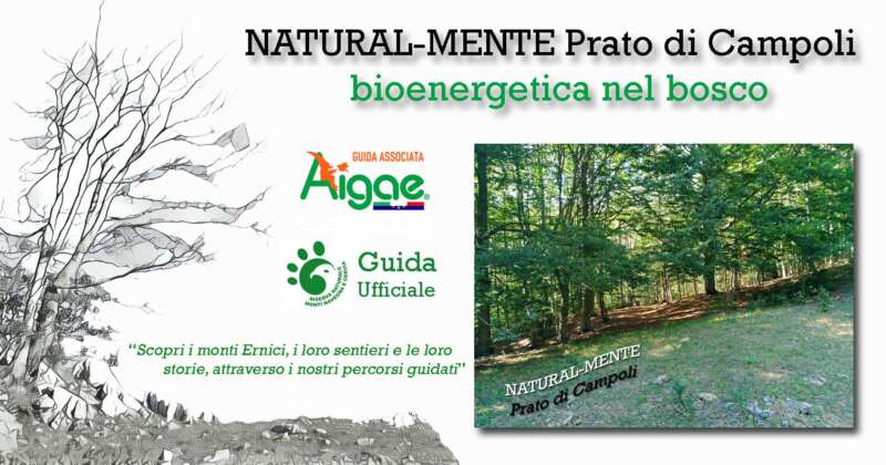 NATURAL-MENTE (bioenergetica nel bosco)