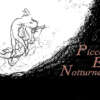 Piccole Elegie Notturne. Festival di Poesia, Musica e Teatro