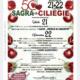 Sagra delle Ciliegie