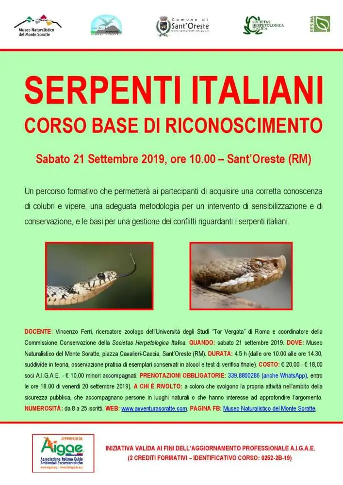 Serpenti italiani: corso base di riconoscimento