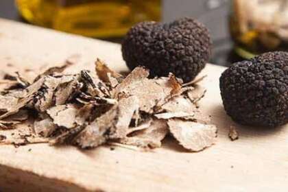 Dalla sagra del Tartufo a quella del Pizzutello: la grande estate romana Dalla sagra del Tartufo a quella del Pizzutello: la grande estate romana
