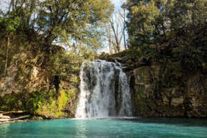 Riserva naturale Regionale Selva di Lamone