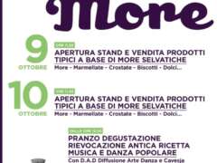 Sagra delle more