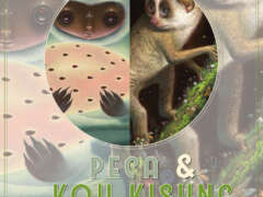 Peca & Koh Kisung - Double Solo Exhibition