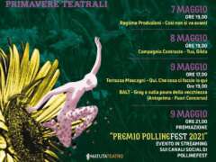 PollineFest: il festival ideato da Matutateatro