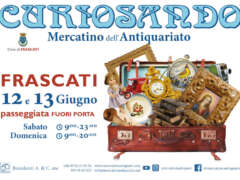 Curiosando - Mercatino dell'antiquariato, collezionismo e vintage