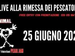 Be Animal - Pear Jam Tribute in Concerto