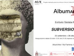 SUBVERSIONES