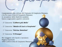 Concorsi per il Natale Carpinetano