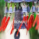 Open day ScuolaTao Roma