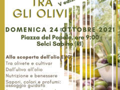 Camminata tra gli olivi