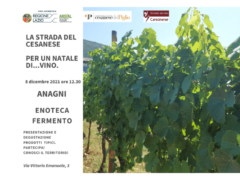 La Strada del Vino Cesanese
