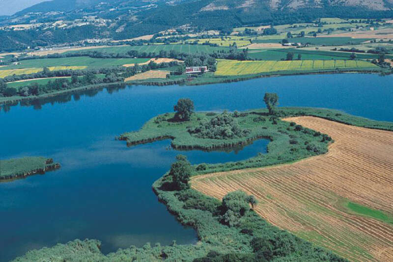 Visite guidate alla garzaia della Riserva del Laghi