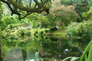 Giardino di Ninfa