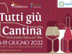 Tutti Giù In Cantina 2022 - Festival della cultura del vino
