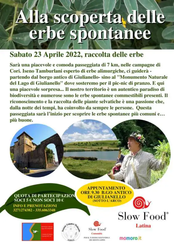 Alla scoperta delle erbe spontanee
