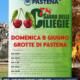 Sagra delle Ciliegie