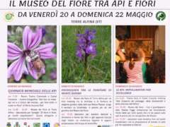 Museo del fiore tra API e FIORI