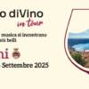 Borgo diVino