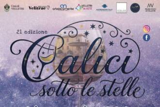 Calici sotto le Stelle