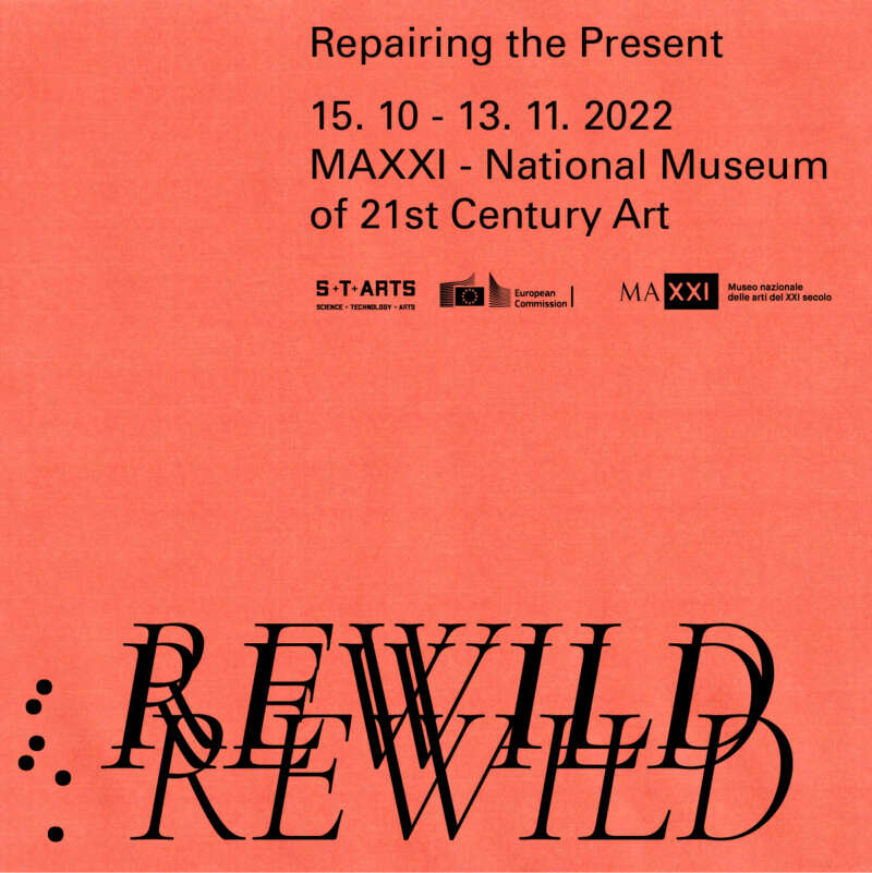 Repairing the Present: Rewild