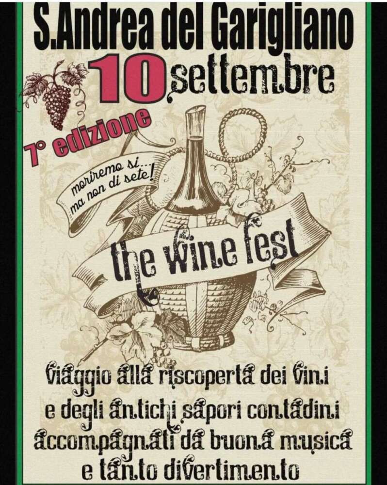 The Wine Fest