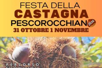 Sagra della castagna
