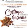 Castagne Insieme