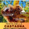Sagra della castagna