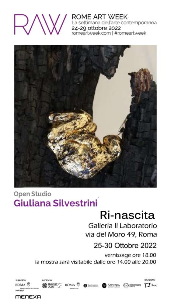 Ri-nascita mostra di Giuliana Silvestrii