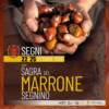 Sagra del Marrone Segnino