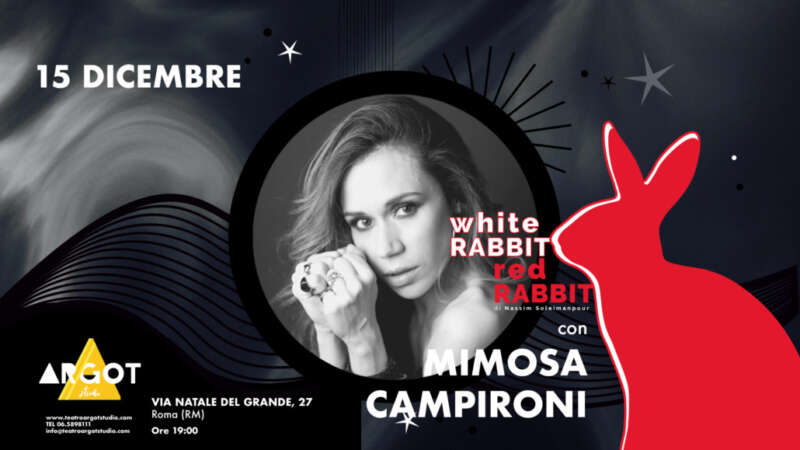 White Rabbit Red Rabbit