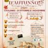 Festa d’Autunno Festa d’Autunno
