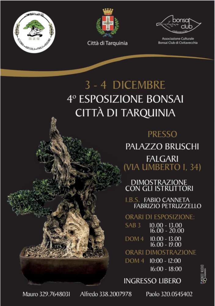 Esposizione di Bonsai