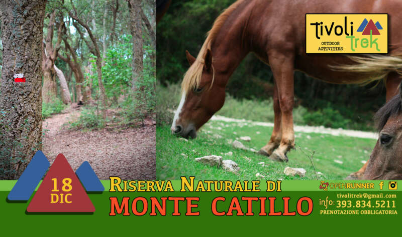 Escursione nella Riserva naturale di Monte Catillo