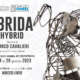 Ibrida – Hybrid