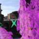Physis and rendering