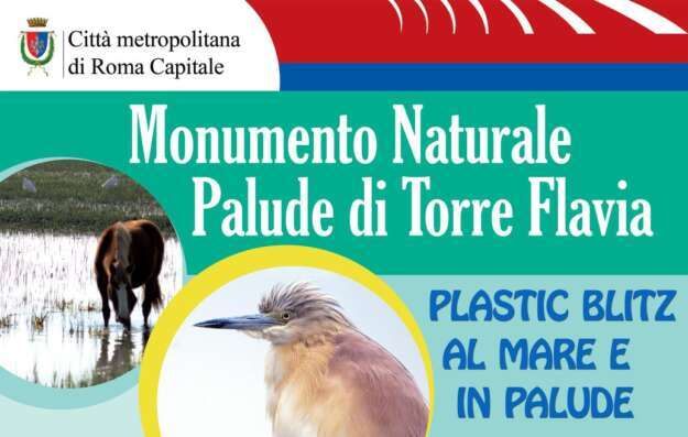 Plastic Blitz alla Palude