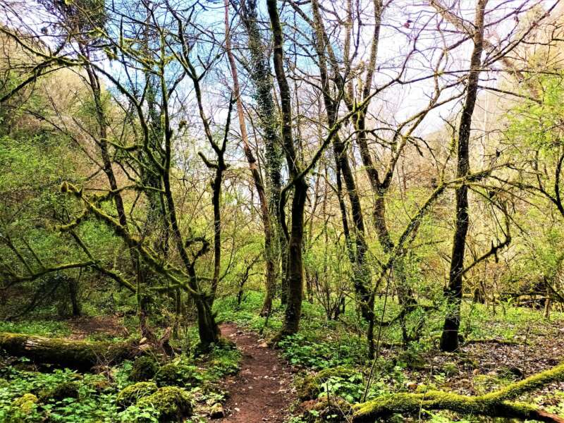 Cammino Tuscia: da La Botte a Barbarano Romano con Nomos Trek