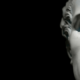 Canova. L’ultimo Principe