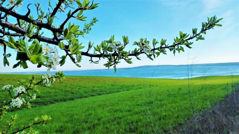 Da Oriolo al lago di Bracciano con Nomos Trek