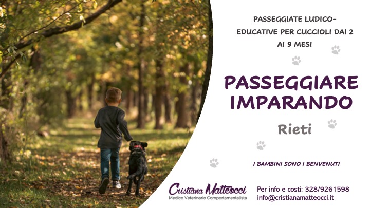 Passeggiate ludico-educative per cuccioli