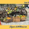 Sagra dell’Arancia