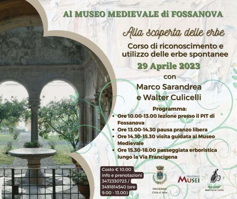 Alla scoperta delle erbe