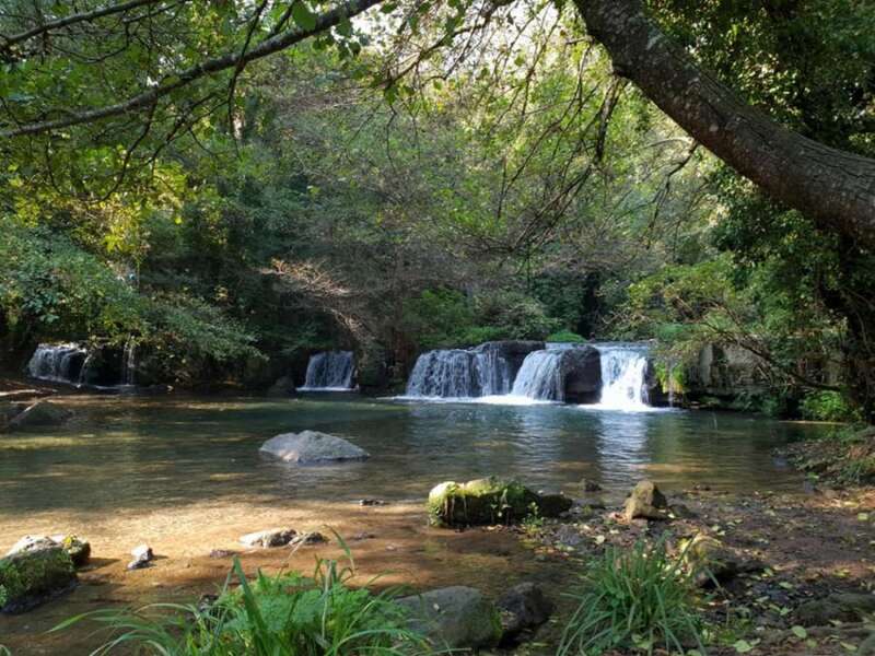 La natura in una giacca