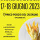 Festa del Fiore di Zucca