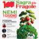 Sagra delle fragole
