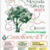 Merenda dell'Oliveta