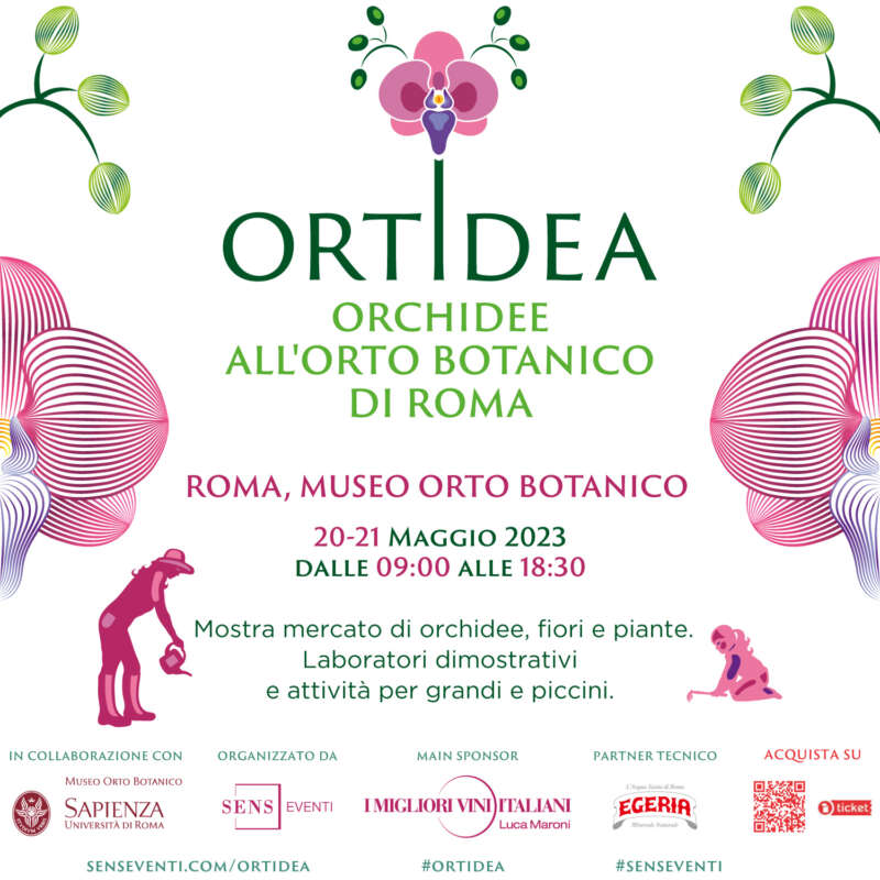 Ortidea