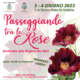 Passeggiando tra le Rose